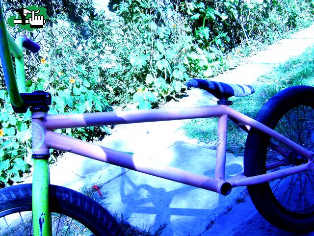 feddeBMX