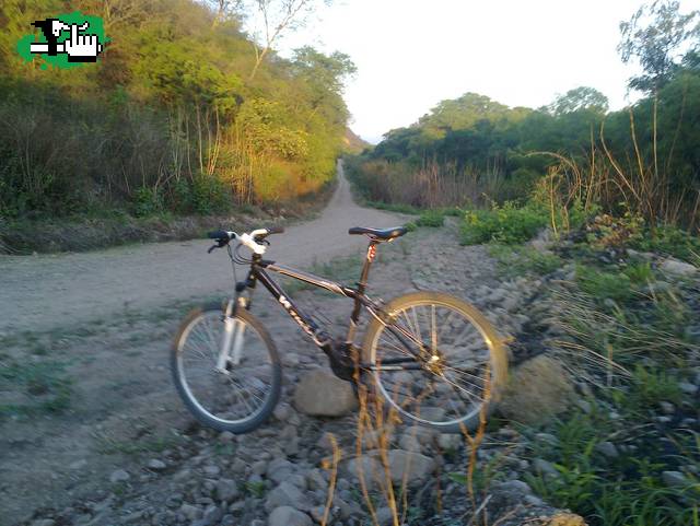 la presento!
