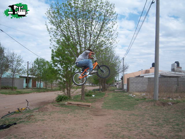 Saltando