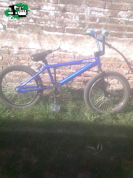 Mi Bike y Bike Check 