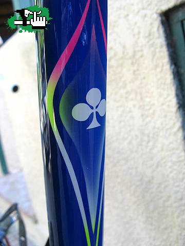 PINTURAS COLNAGO