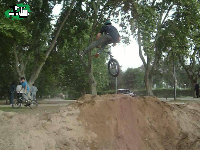 tailwhip