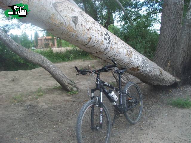 EL piloto es de madera jaja....