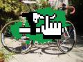 cotoon