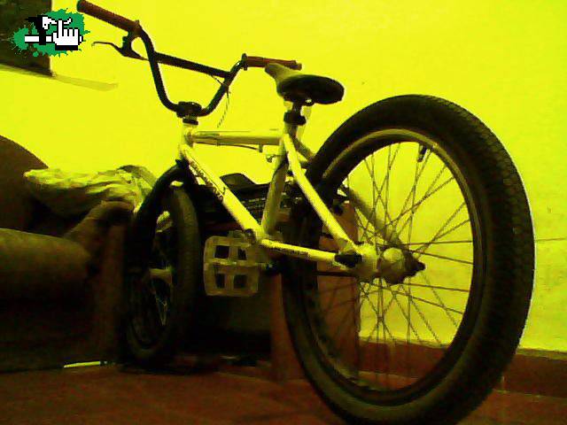 NUEVO BIKE CHECK ACTUALIZADO!!
