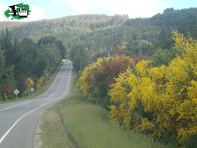RUTAS DE ENSUEÑO.
