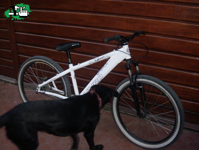 elpincha