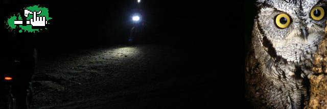 ATODOPEDAL NOCTURNO CAMPANA / CAPILLA