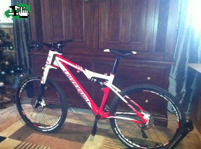 mi nueva renga