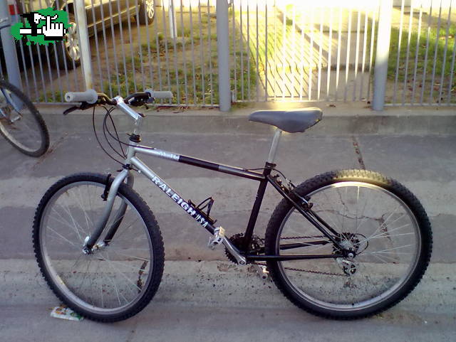 Raleighm40