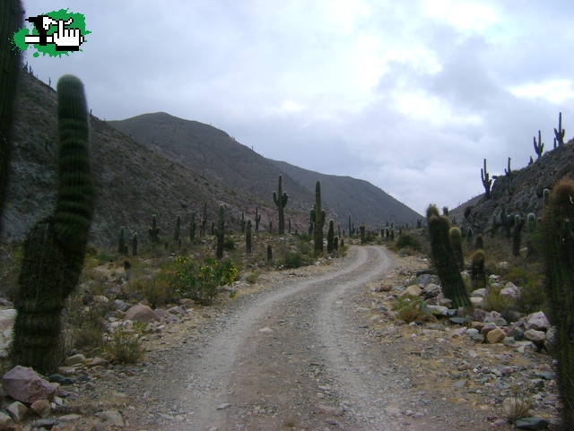 Más de Tilcara-Calilegua