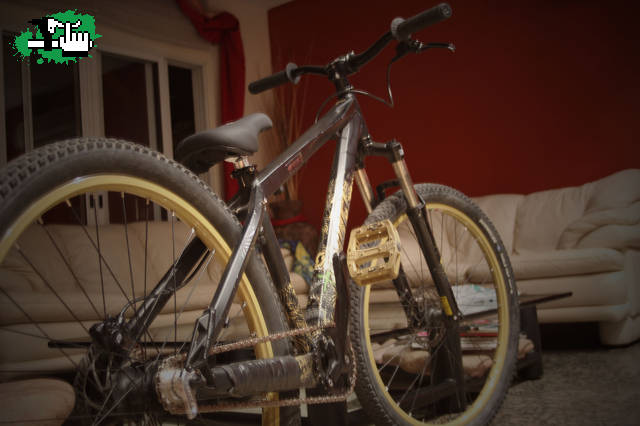 Single speed dirtero!