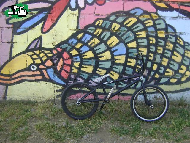 MI BIKE 