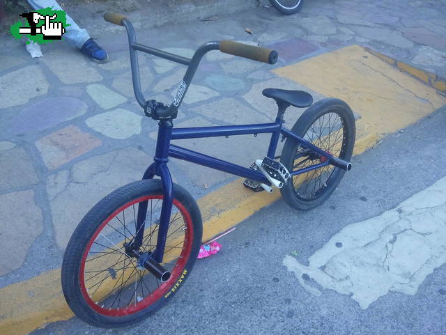 Check y bars