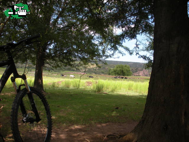 pedaliada en nono