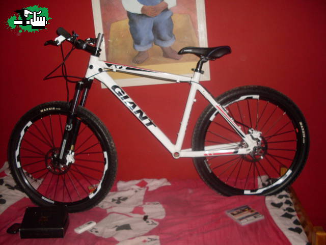ASI VA QUEDANDO MI GIANT! :D