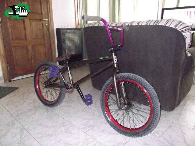cambioo