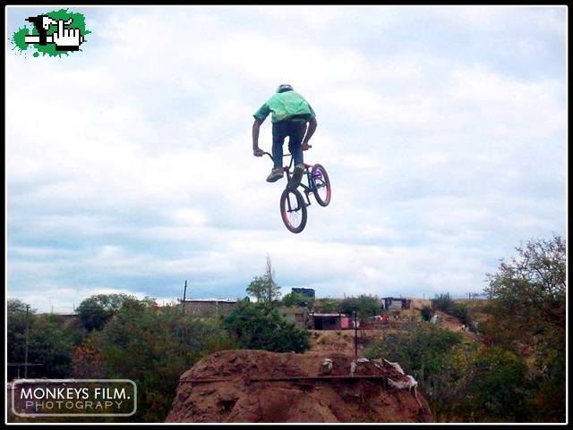 whip