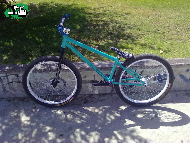 marino 24