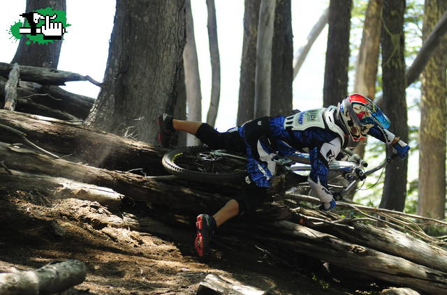 PAAALO open shimano