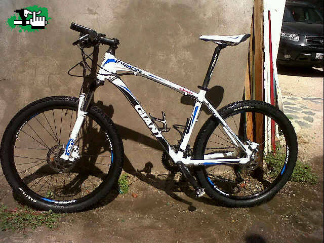 Mi giant