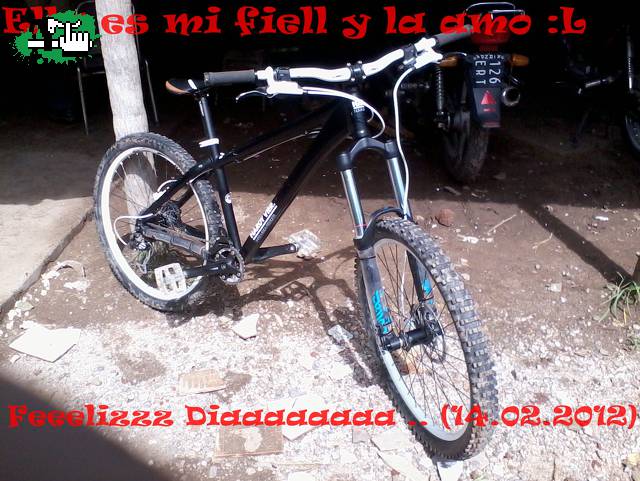 La Amo a ELLAA