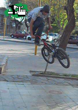 whip! al palo