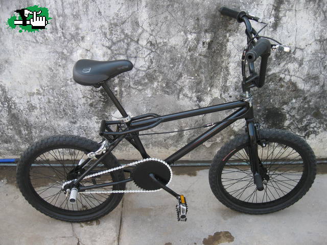 freestyle 1985