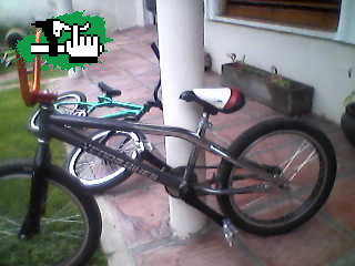 bike check 2012.
