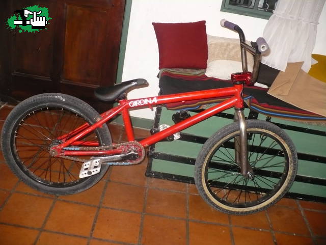 Bike Check. ~