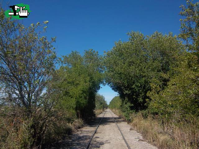 Cañuelas-Uribelarrea con almuerzo