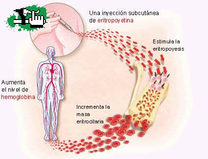 La  EPO : La droga maldita..