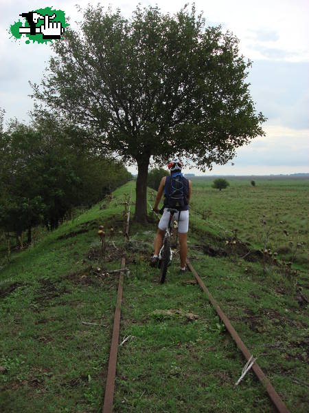 Puente caído II (el regreso con barro)