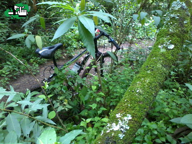 MTB-SENDERO DEL CANTADERO