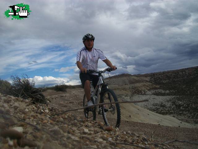 Conduciendo a Miss Reba II 