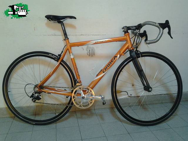 cavalino77
