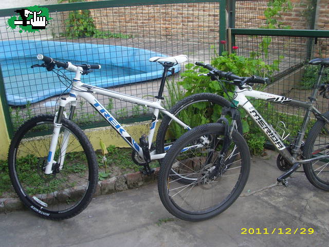 mis nenas 
