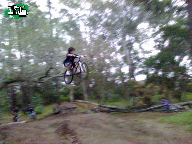 DIRT chico