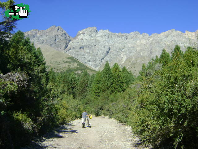 caminata para llegar a la plataforma del piltriquitron DH