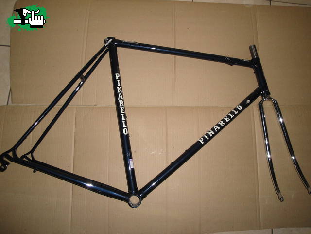tiburon7