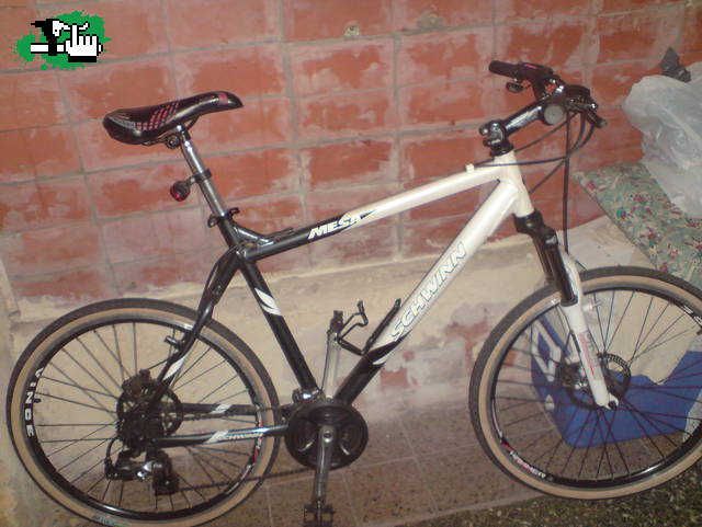 mesa schwinn