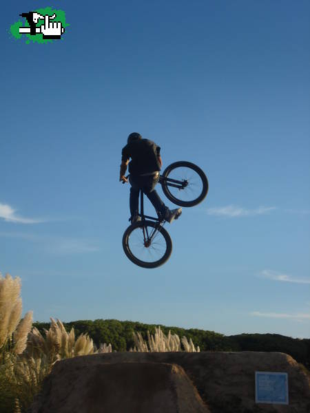 invert