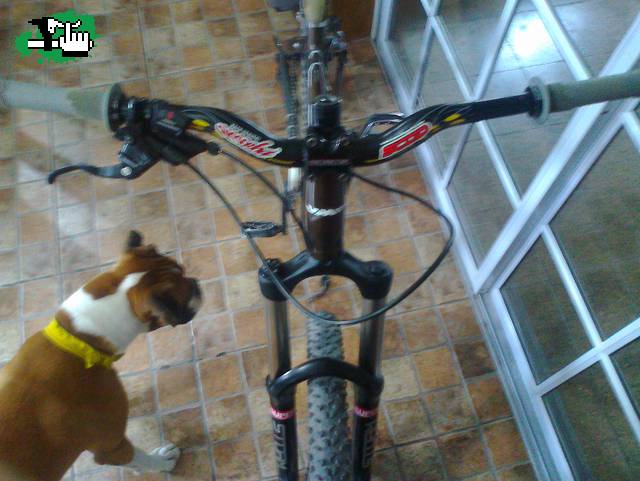 gaston_alvarez