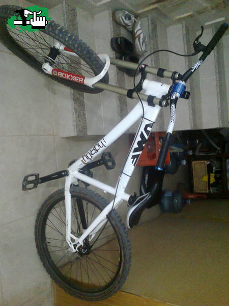 Mi bike para empezar DH
