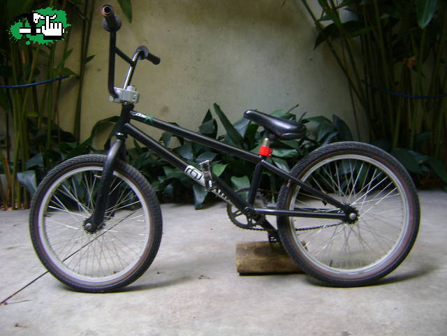 freedom36