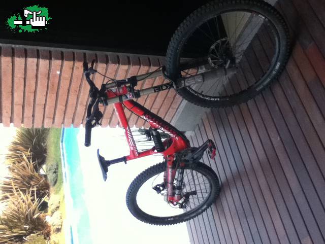 pedrodh