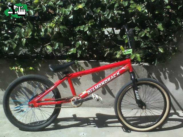 bike check