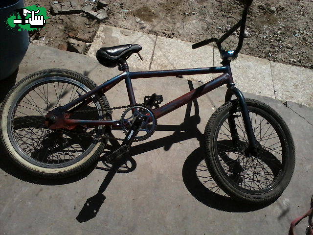 freestyle