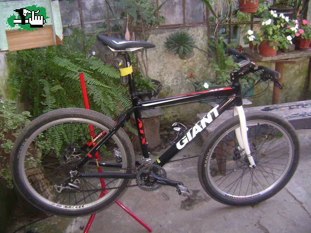 Pie casaero para la Gitana