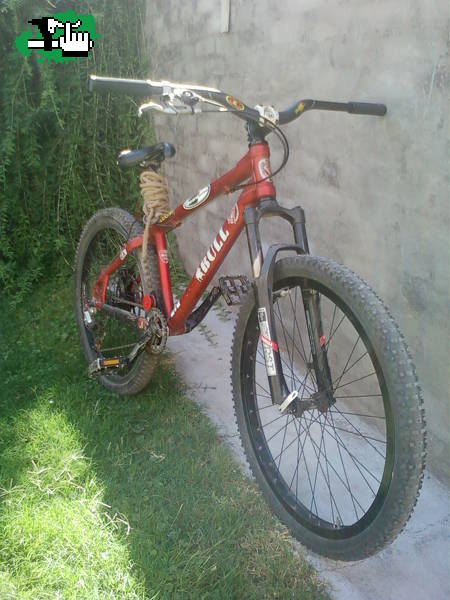 Actualizando la BULL